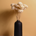 Natural dried roses bouquet in black vase