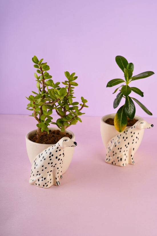 doggy planter with unique & beautifully design