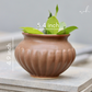 Brown Kalash Planter