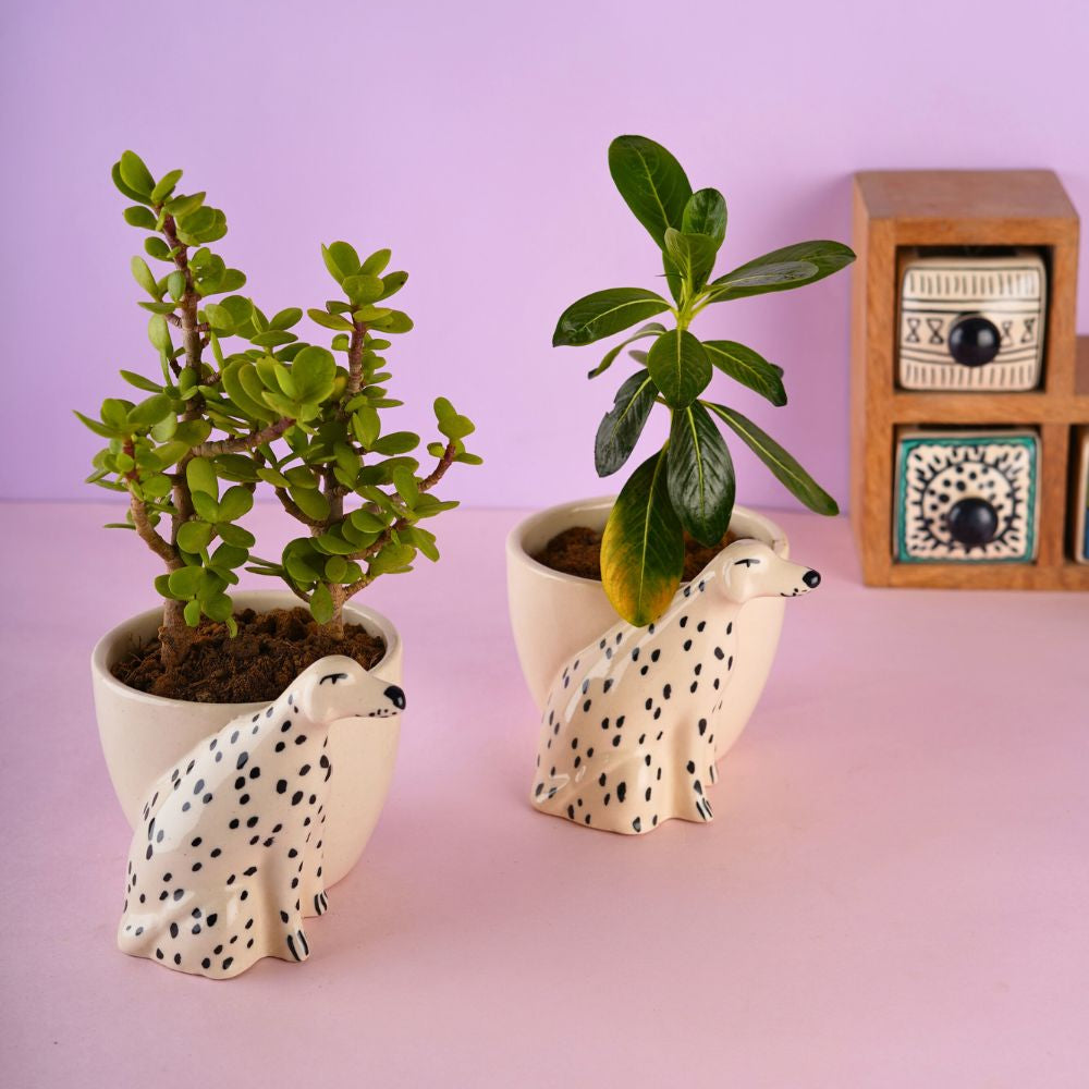 handmade doggy planter