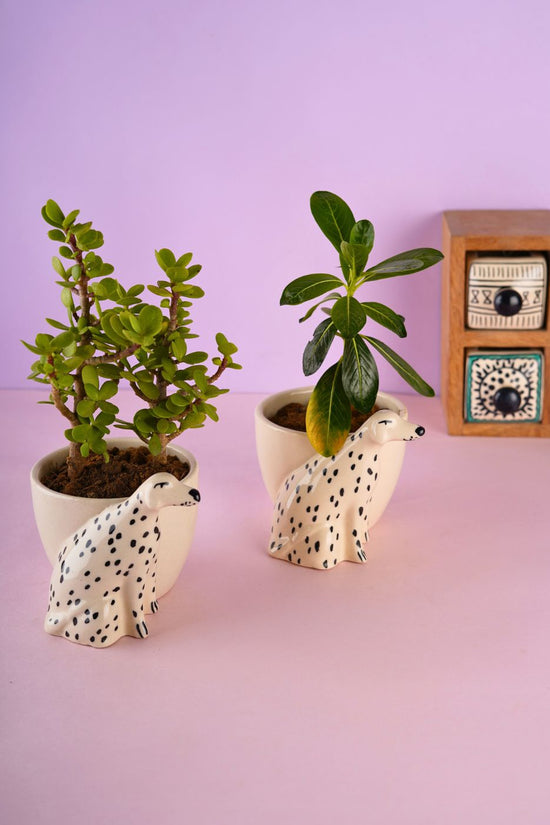 handmade doggy planter