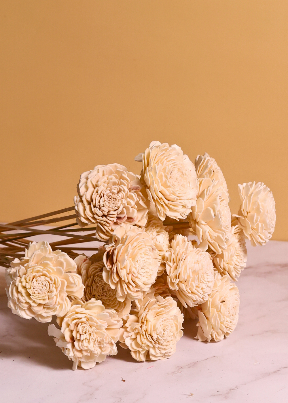 dried rosses 