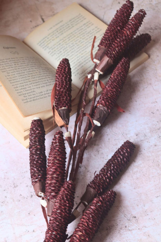 Dried Brown Pine Chain - Bunch for your home decor