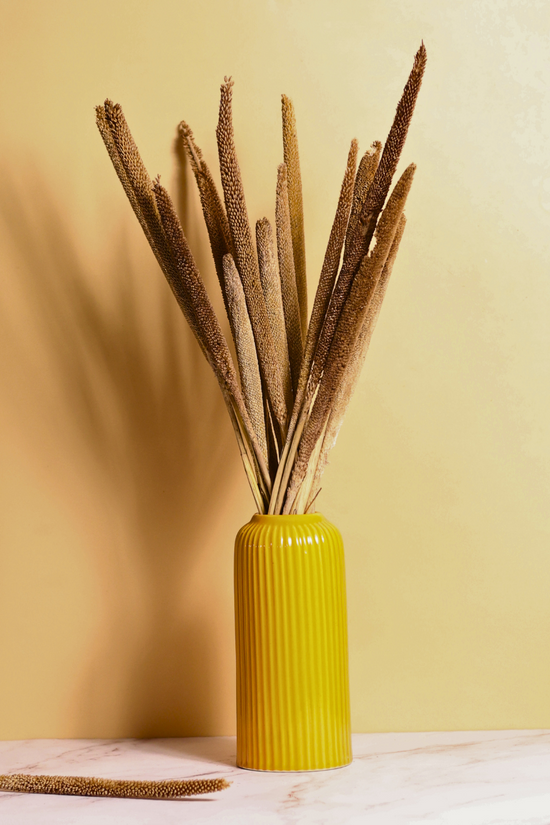 Dried natural bajra bunch in yellow vase