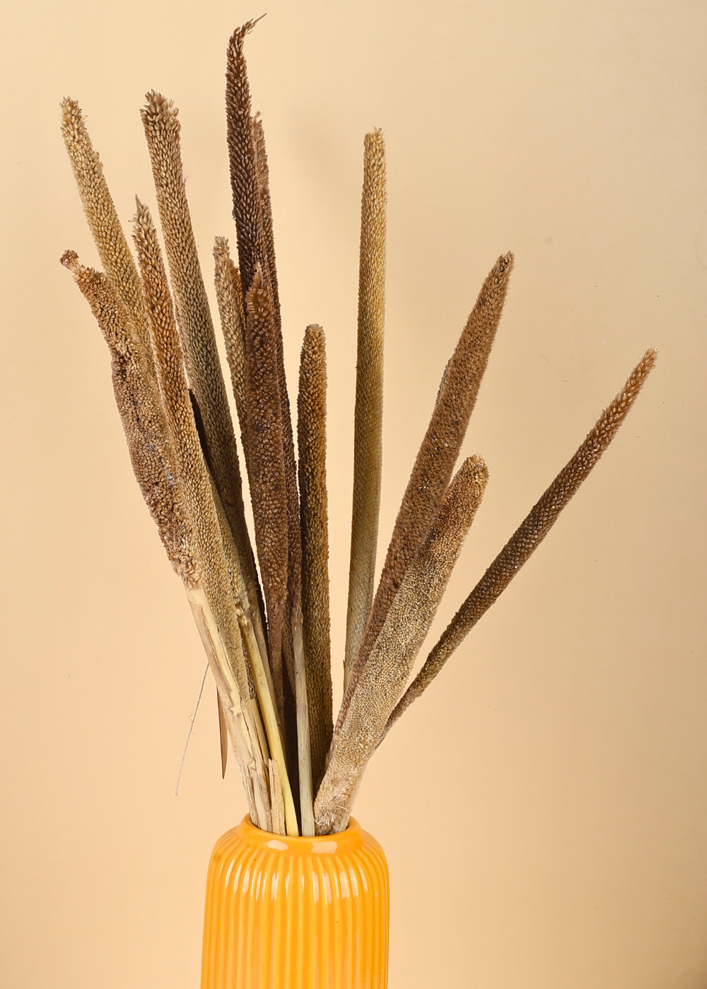 Dried bajra bunch in yellow vase