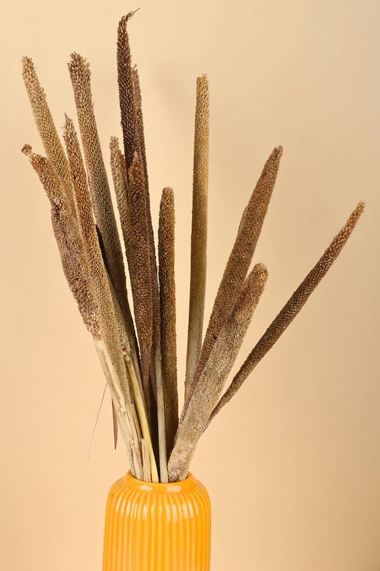 Dried bajra bunch in yellow vase