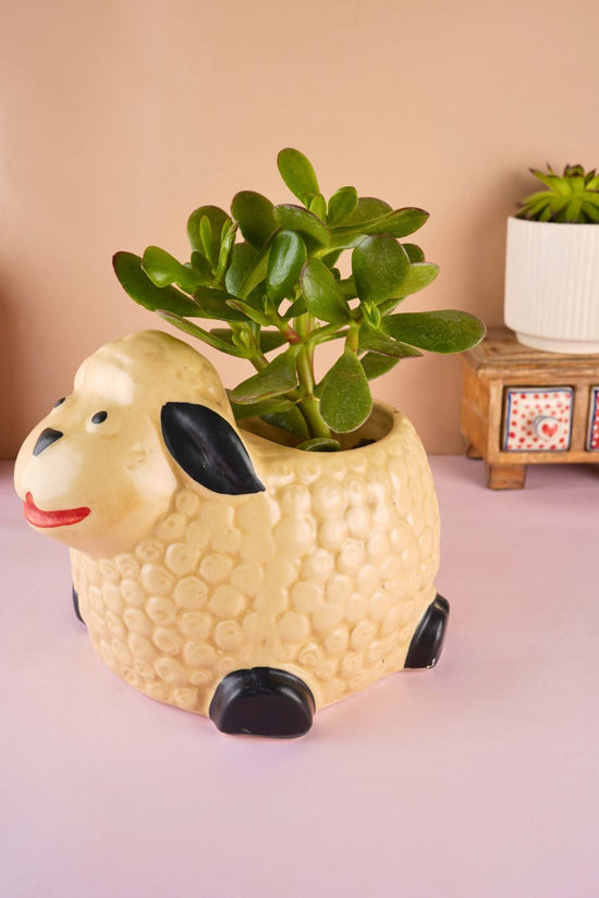 sheep planter with cream color