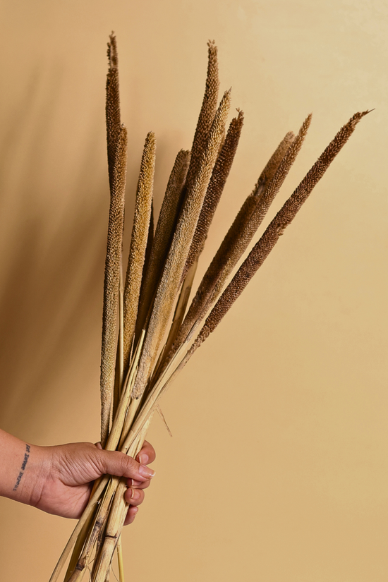 Dried natural banjara bouquet in hand
