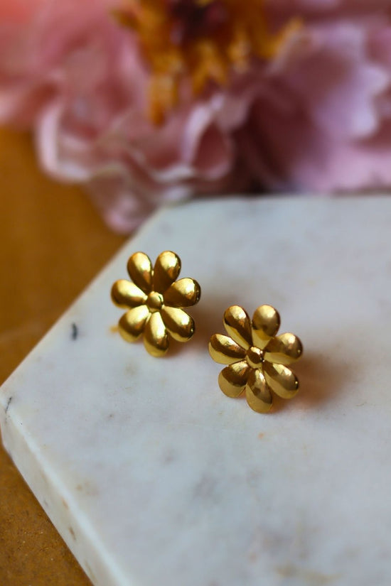 Set of 2 - Simply Phoolish & Butterfly Studs Earrings Combo