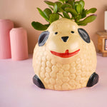 sheep planter for your beautiful plants