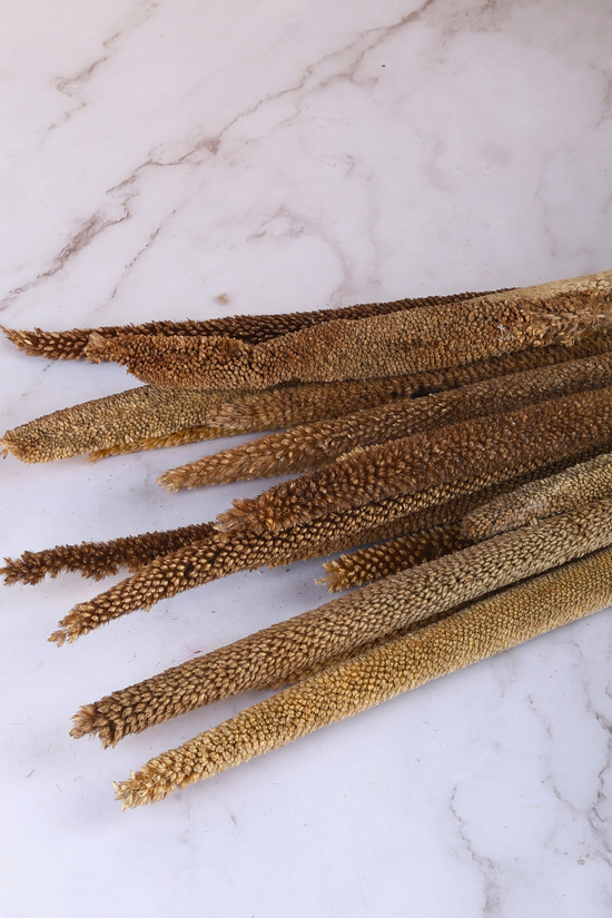 Natural bajra bunch