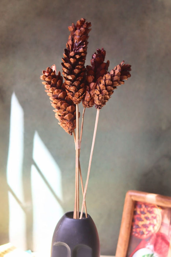 Handmade Long pinecones Bunch
