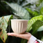 Ceramic cream planter height & breadth