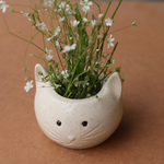 kitty planter for your living space 