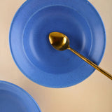 pasta plate with blue color