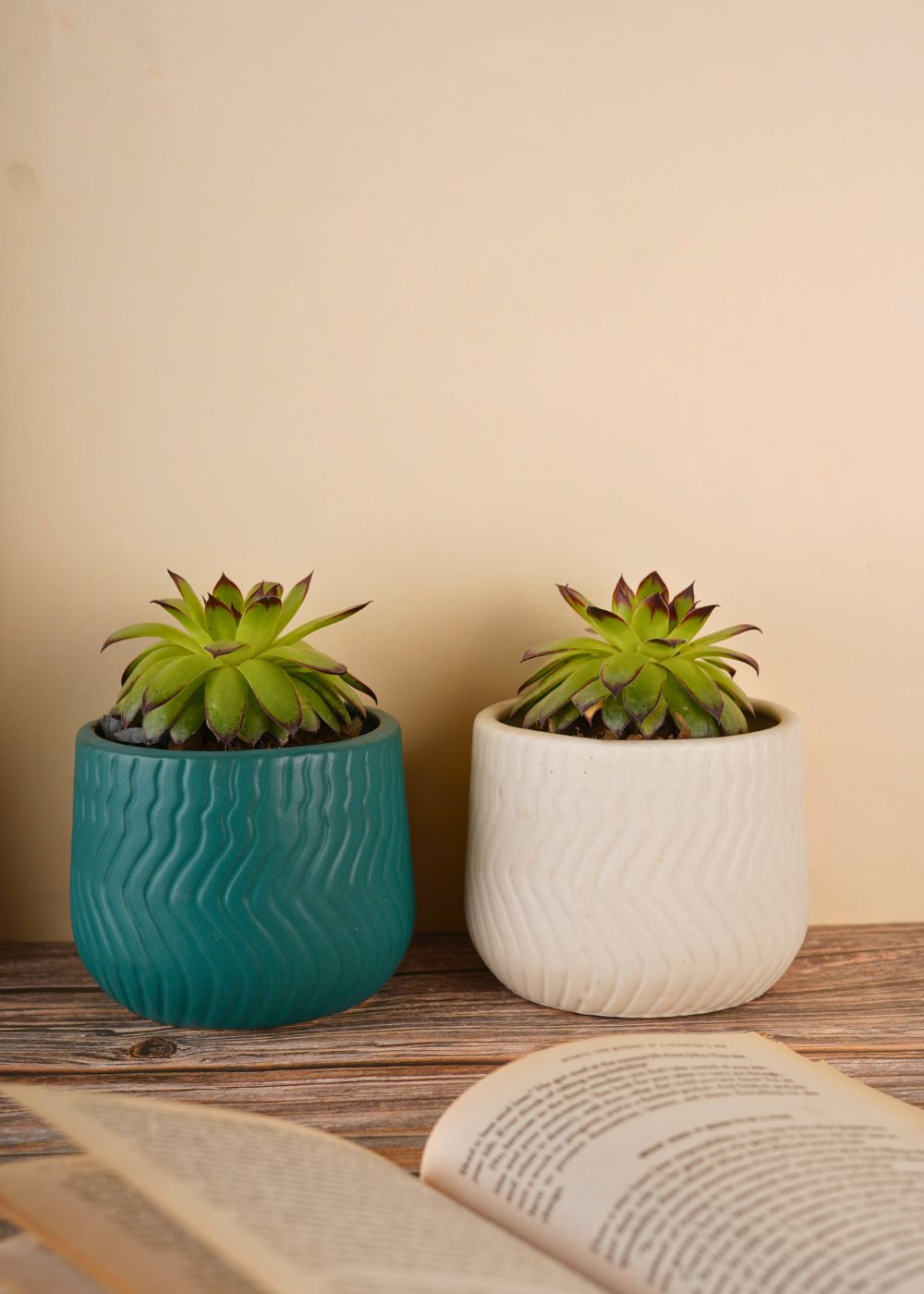 essential planter set of two combo