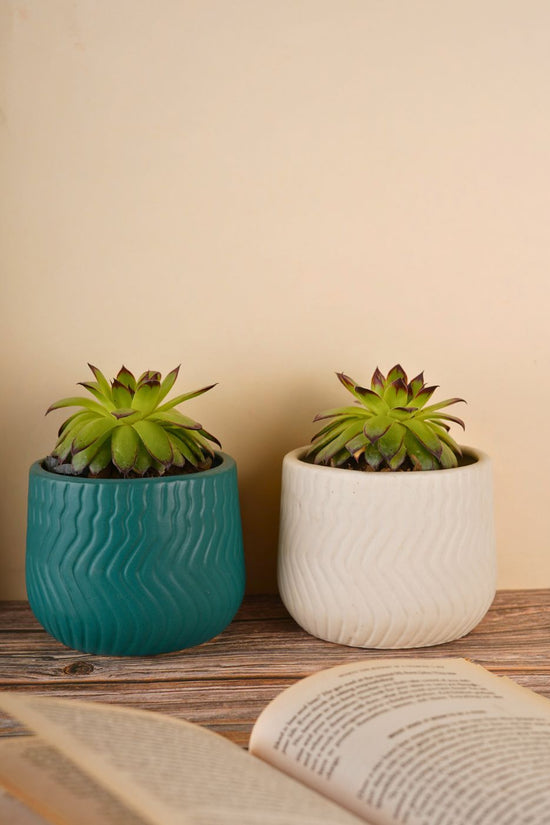essential planter set of two combo