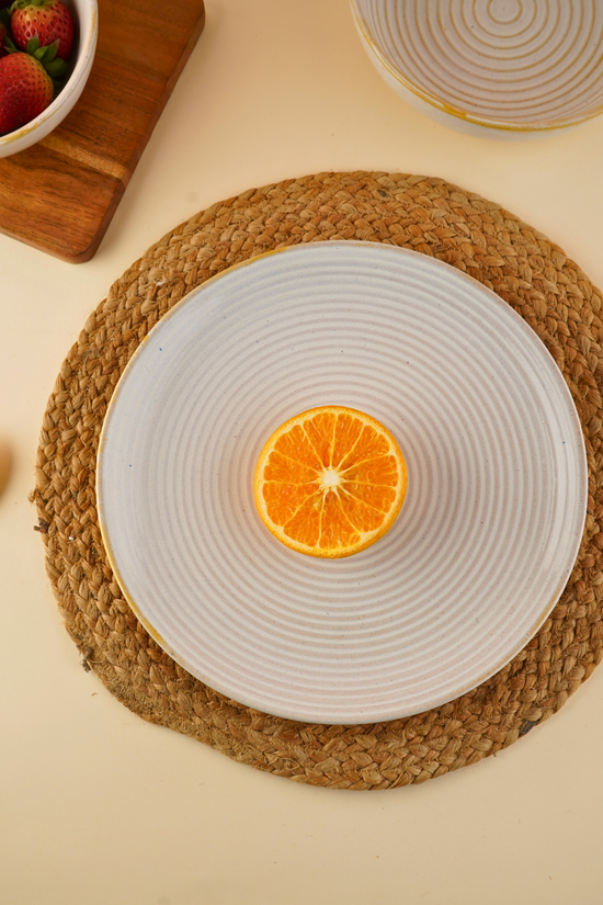 white dinner plate with ceramic material