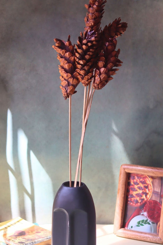 Long pinecones Bunch with premium quality material