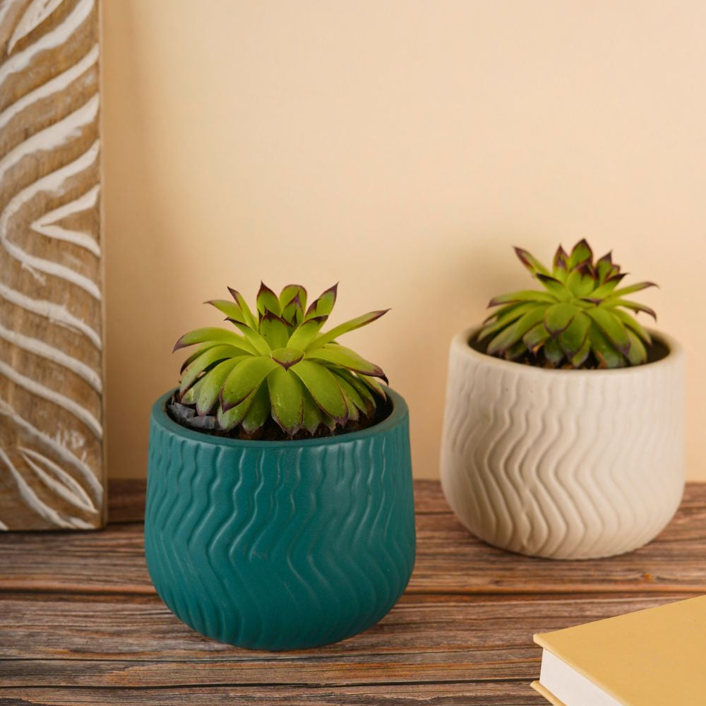 essential planter with two different colors 