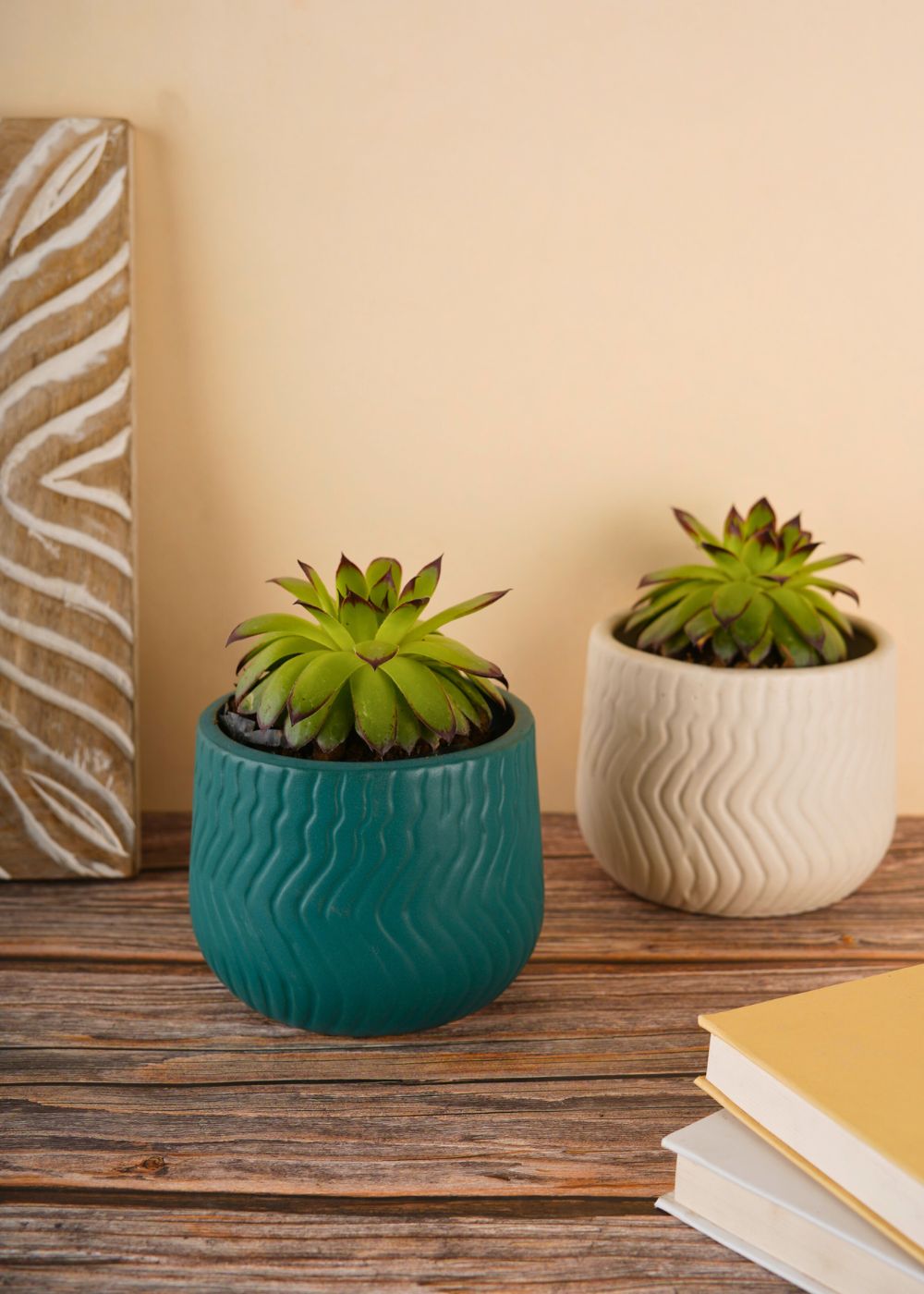 essential planter with two different colors 