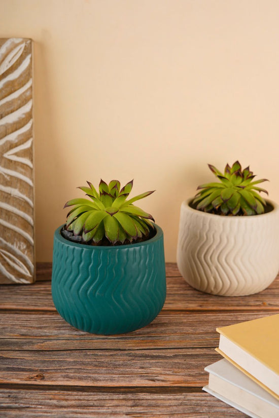 essential planter with two different colors 