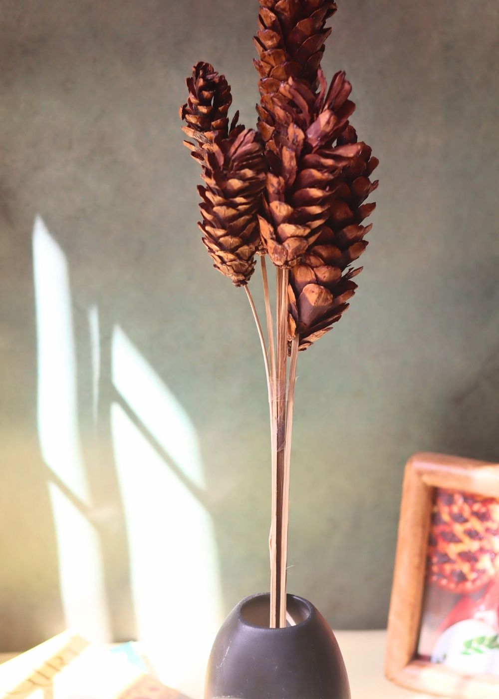 Long pinecones Bunch handmade in India