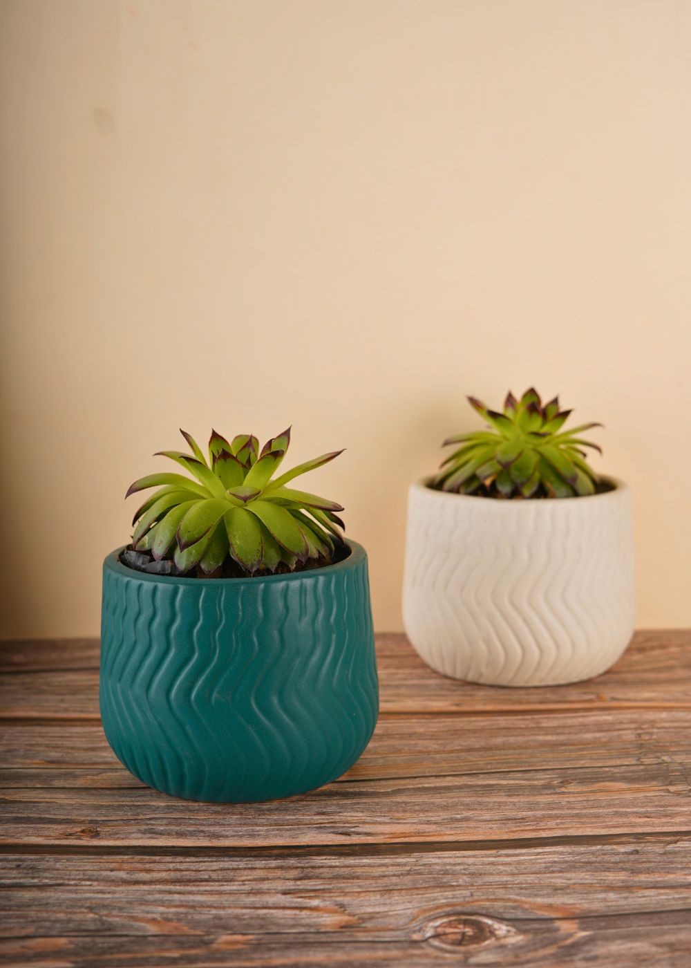 essential planter made by ceramic 