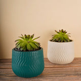 essential planter made by ceramic 