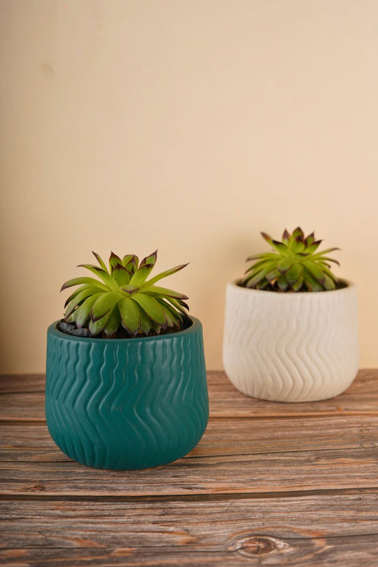 essential planter made by ceramic 