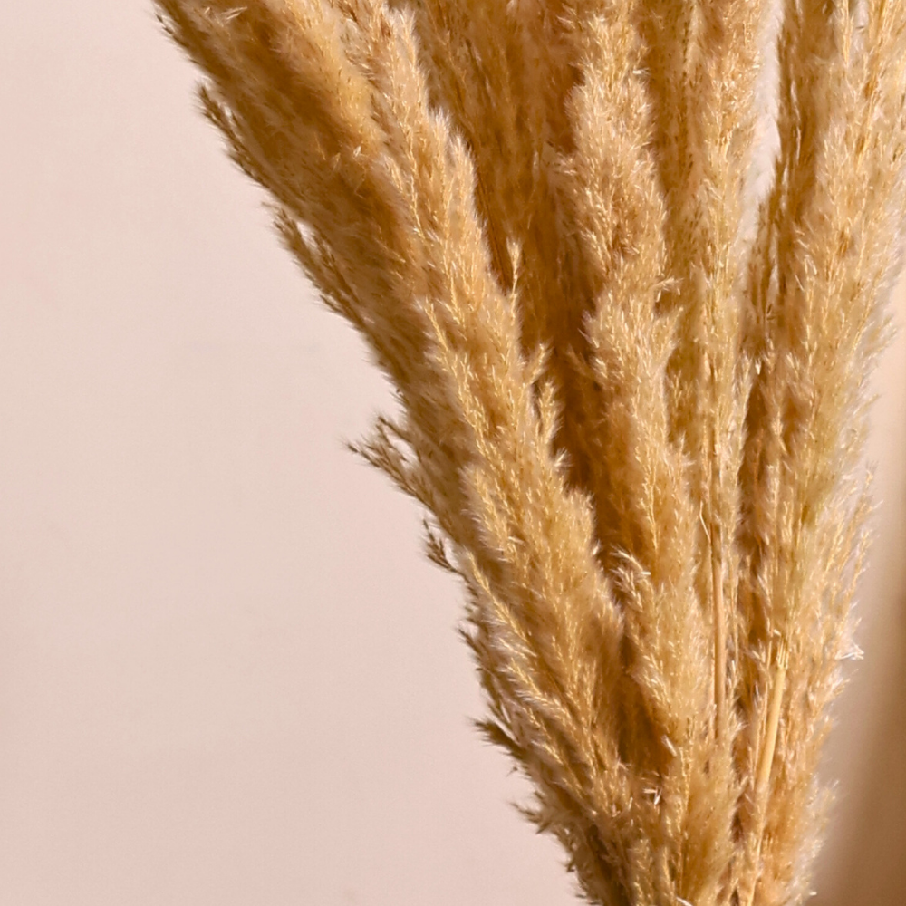 Beautifully dried pampas bouquet 