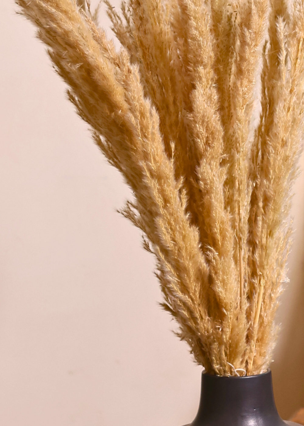 Beautifully dried pampas bouquet 