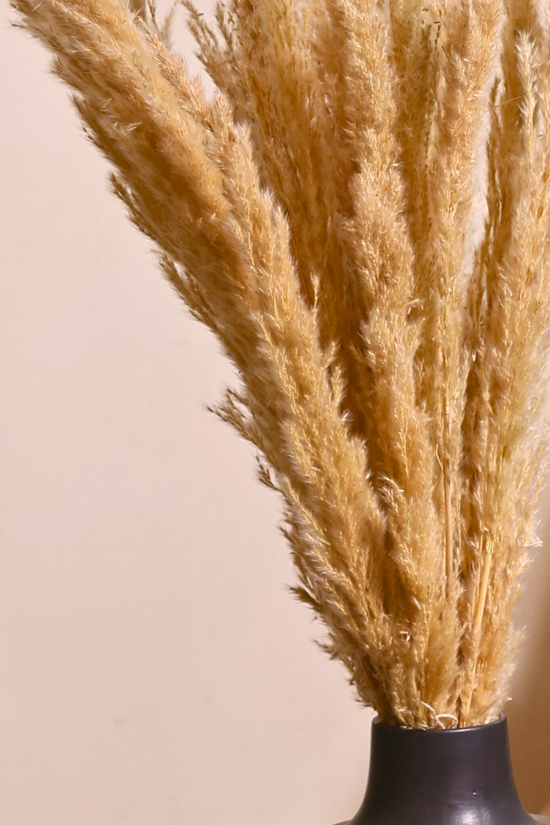 Beautifully dried pampas bouquet 