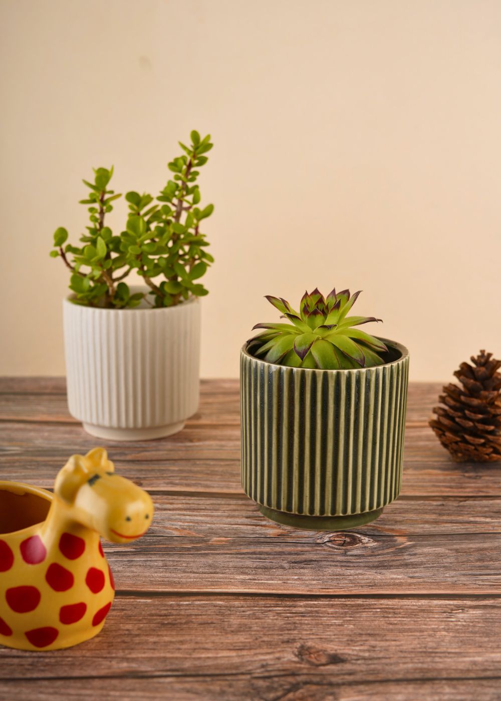 handmade ribbed planter made by ceramic 