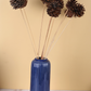 dried natural pinecone -bunch