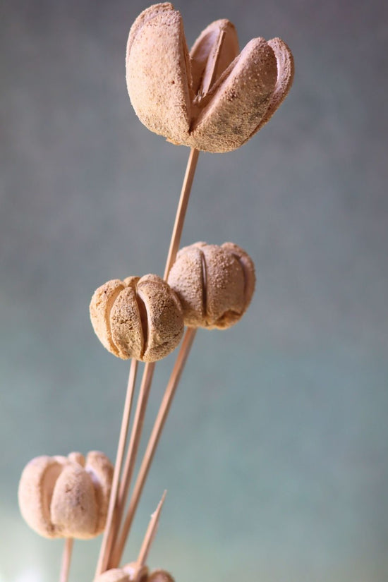 Dried Beige Bunch handmade in India