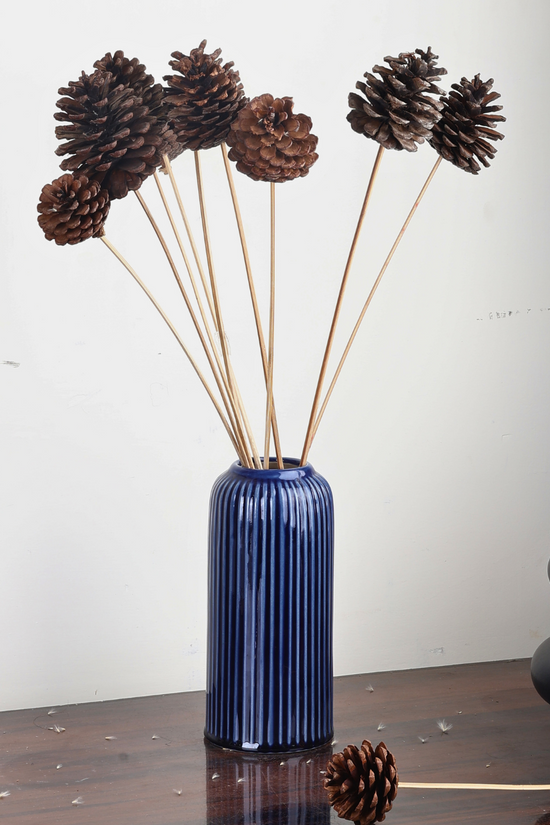 Naturally dried pinecone