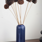 naturally dried pinecone