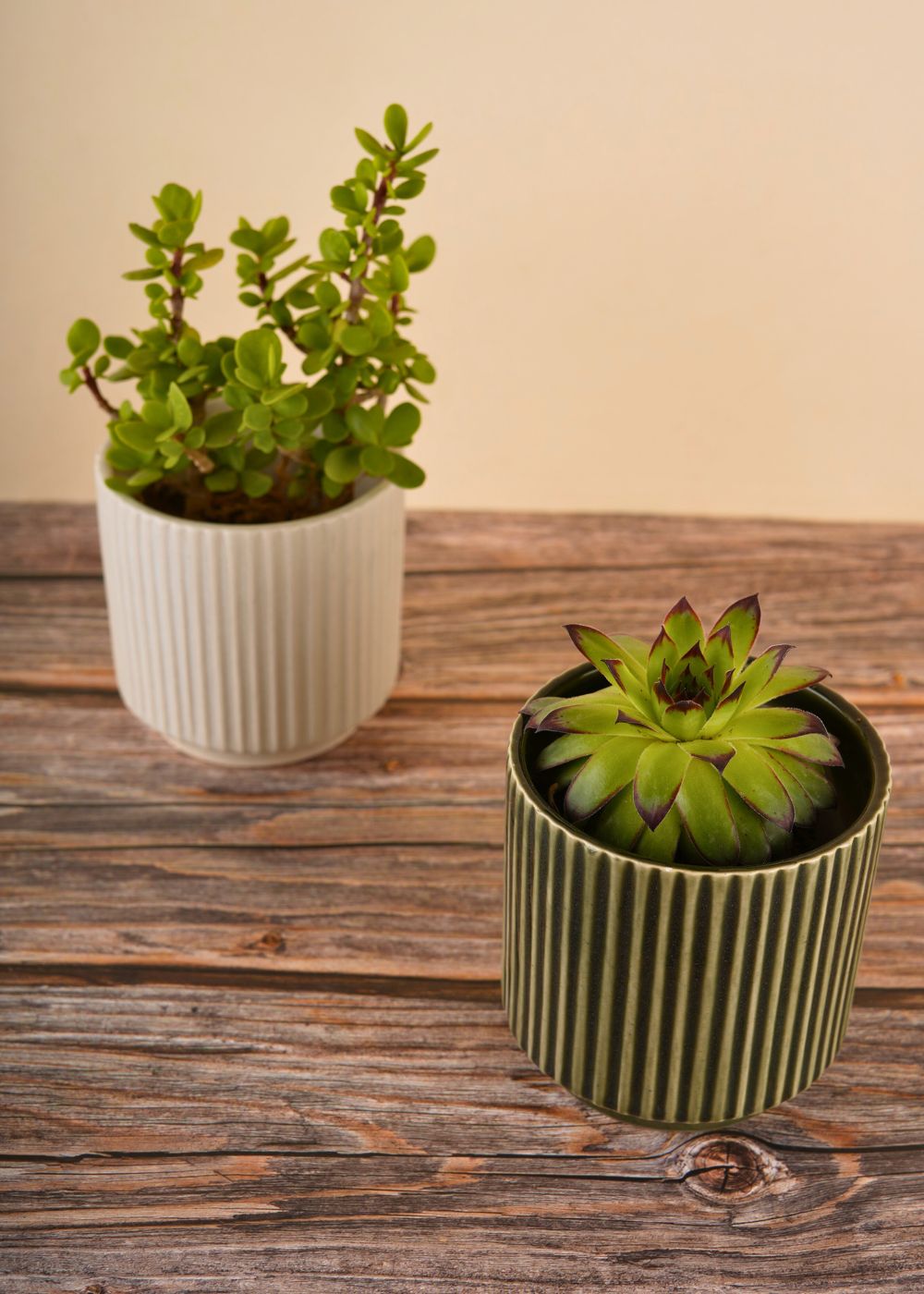 ribbed planter handmade in india