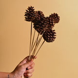 pinecones natural brown color gives a rustic vibe 