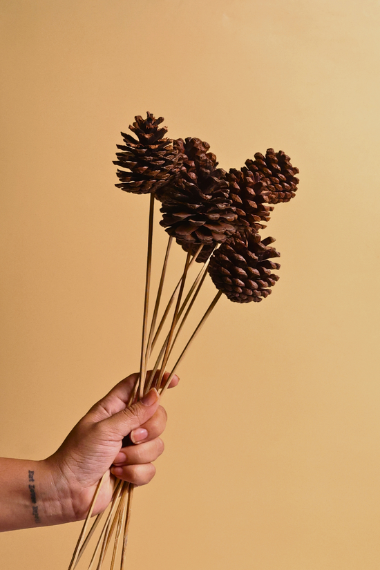 Pinecones natural brown color gives a rustic vibe 
