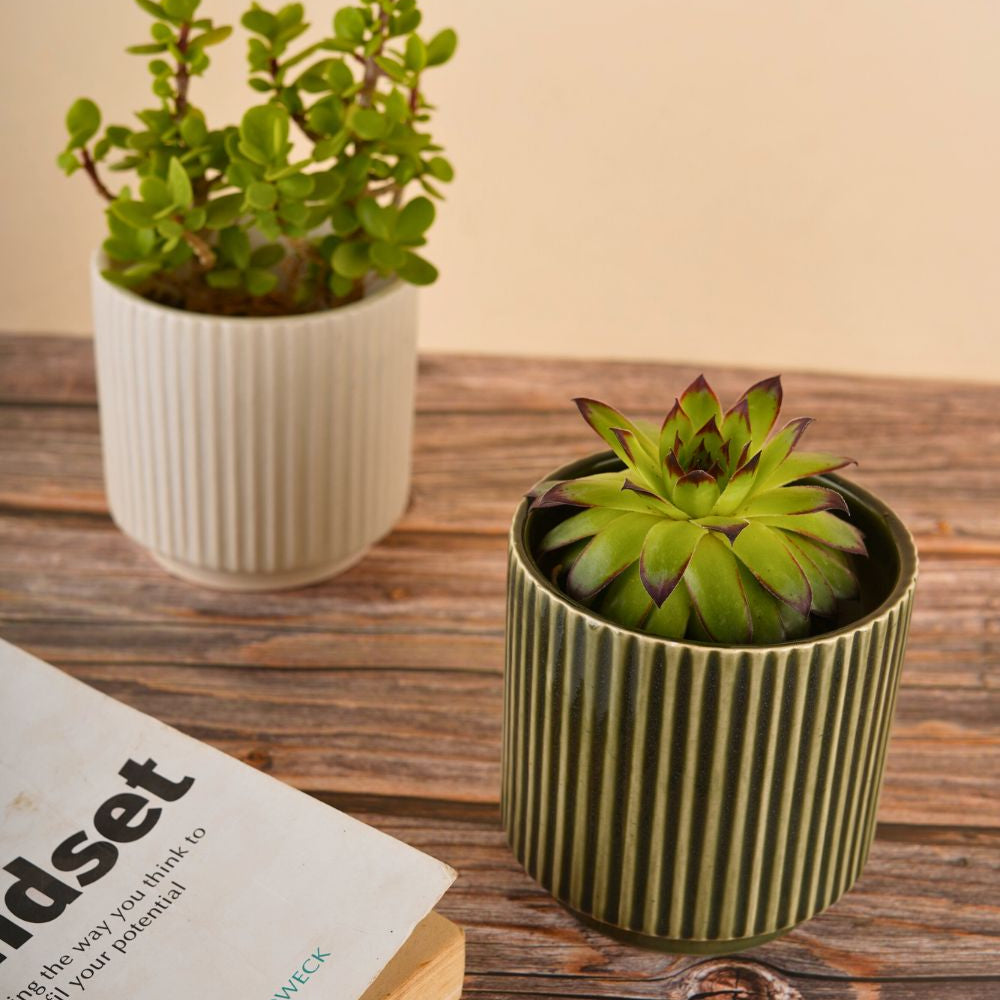 ribbed planter set of two combo