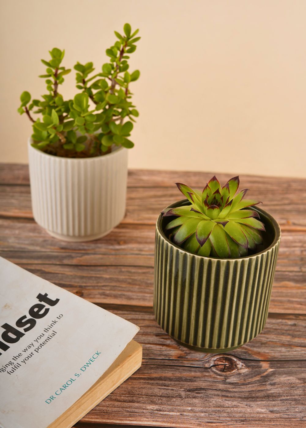 ribbed planter set of two combo