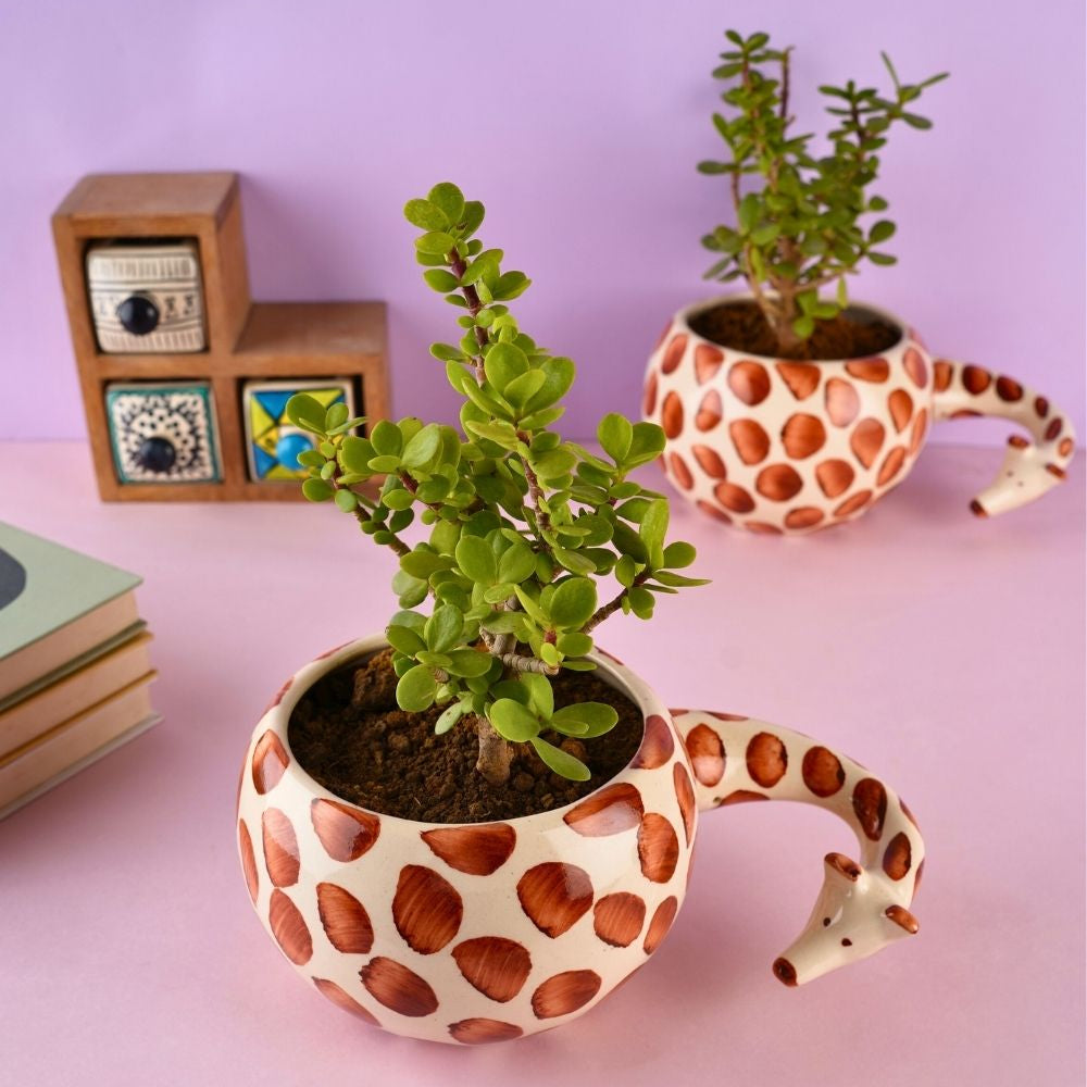 handmade hello giraffe planter