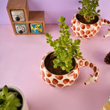hello giraffe planter handmade in india