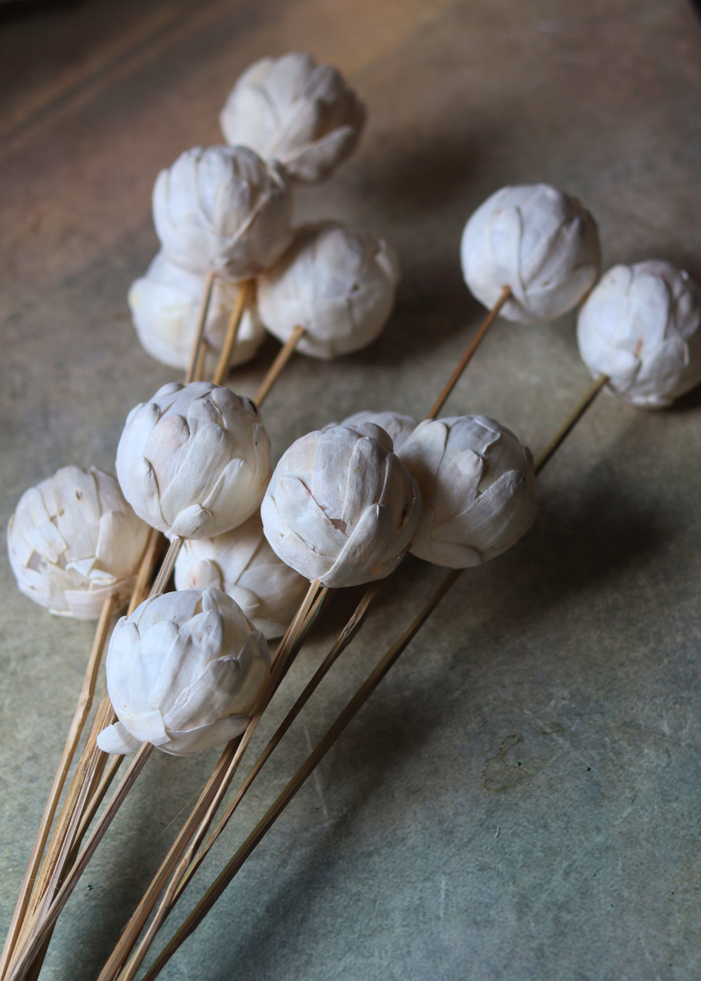 White ball bunch dried 