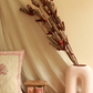 Dried Pine Chain Flower - Bunch