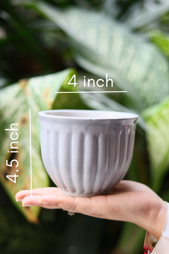 Ceramic planter height & breadth 