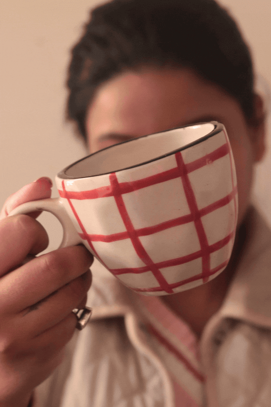 Red Checks Mug for your delicious beverage