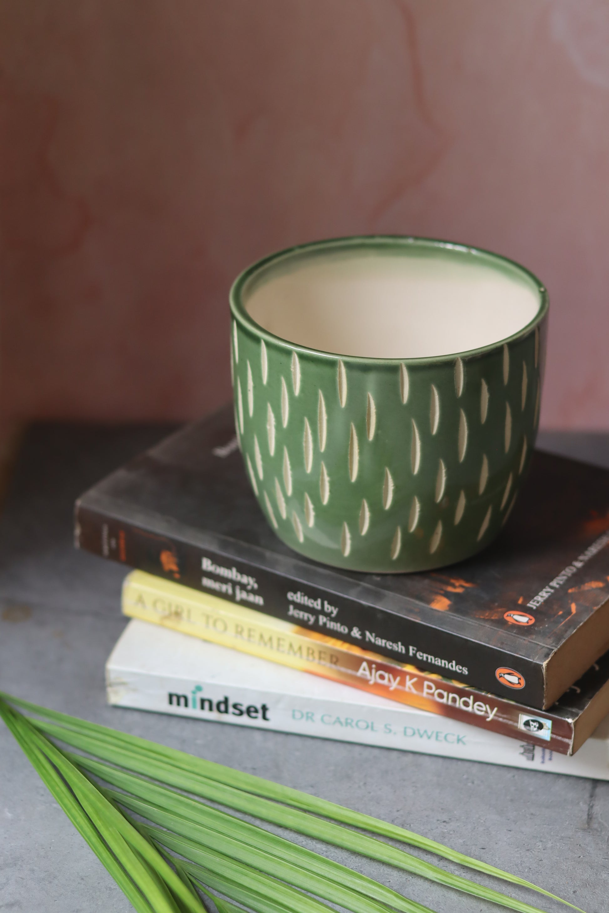 Set of 6 Aesthetic Planter (for the price of 5)